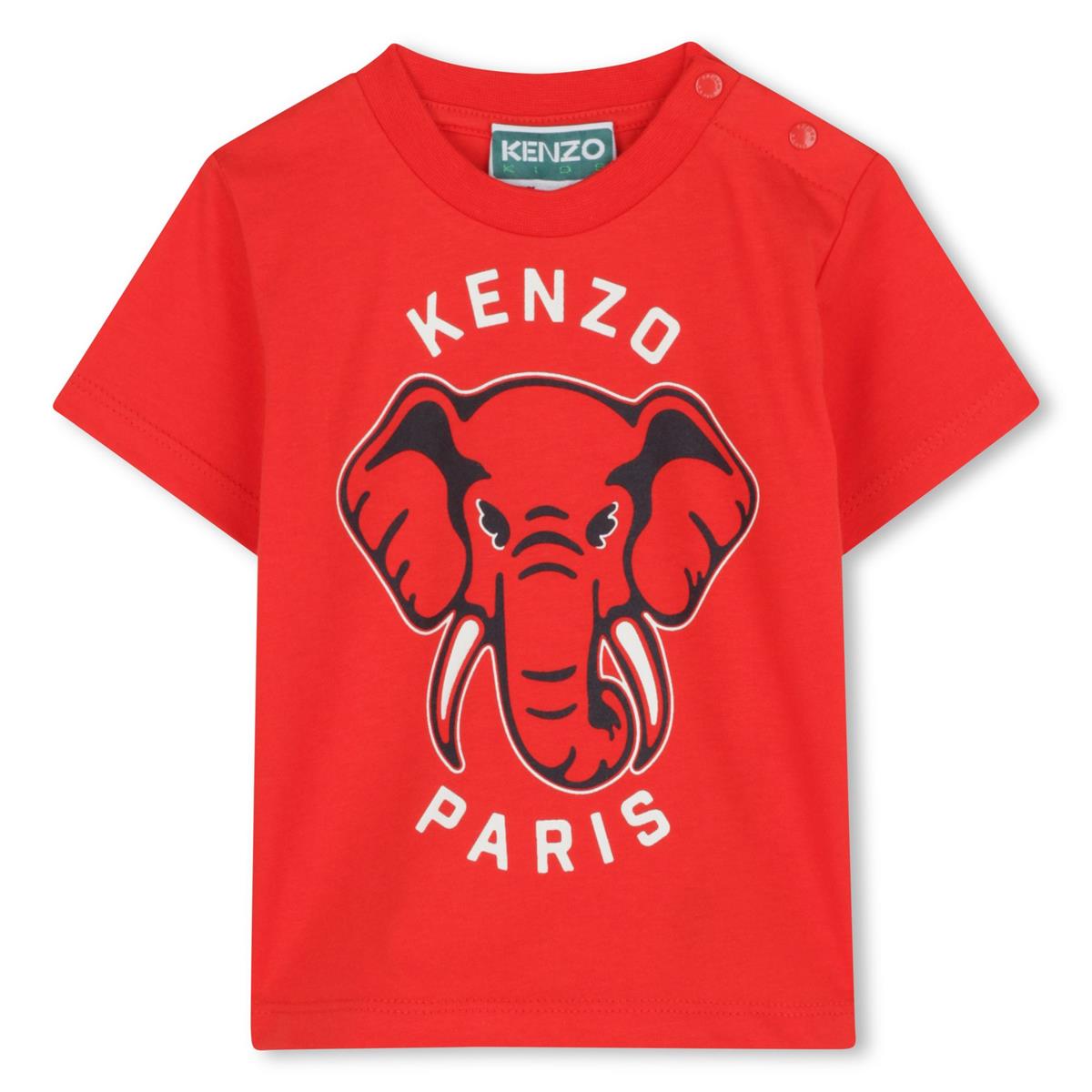 TEE-SHIRT MANCHES COURTES