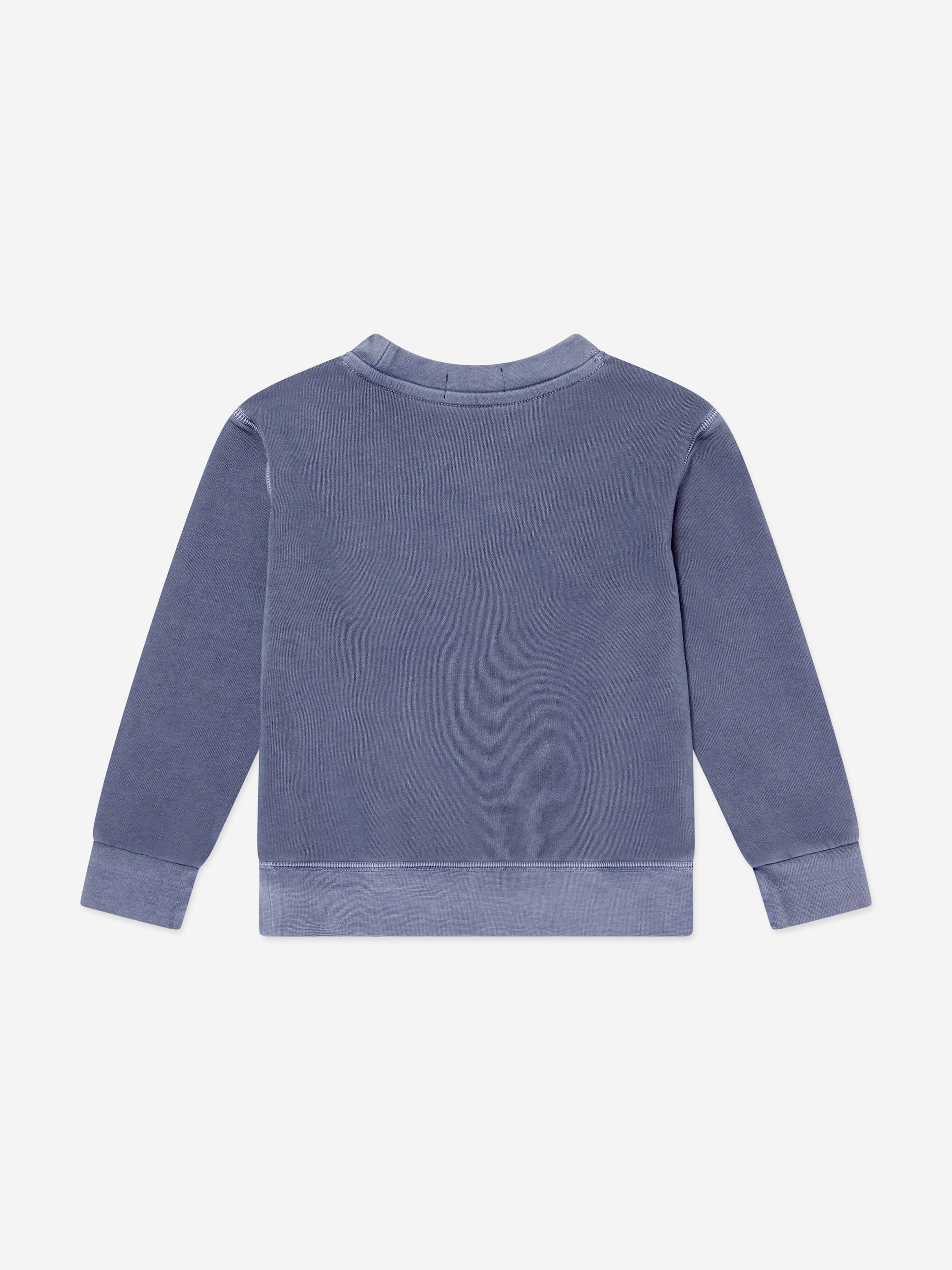 Ralph Lauren Boys Logo Sweatshirt in Blue