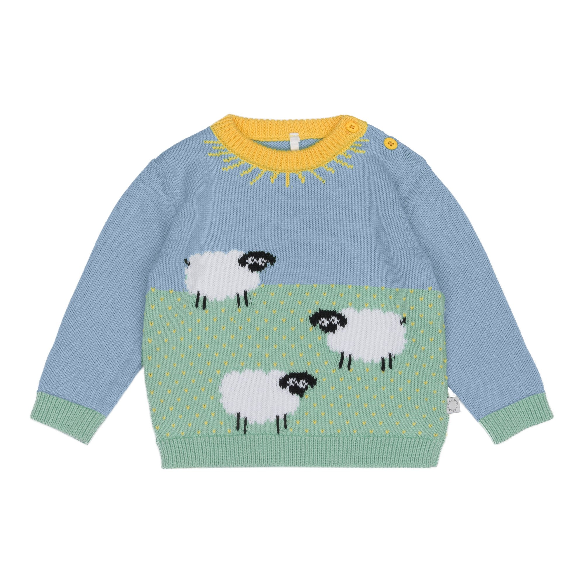 Baby Boys Blue Jacquard Cotton Sweater