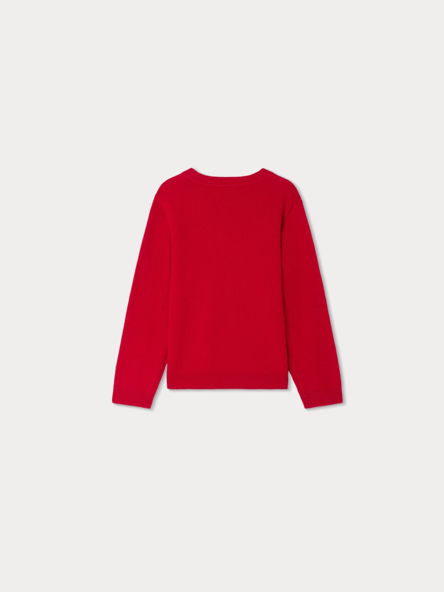 Boys Red Wool Sweater