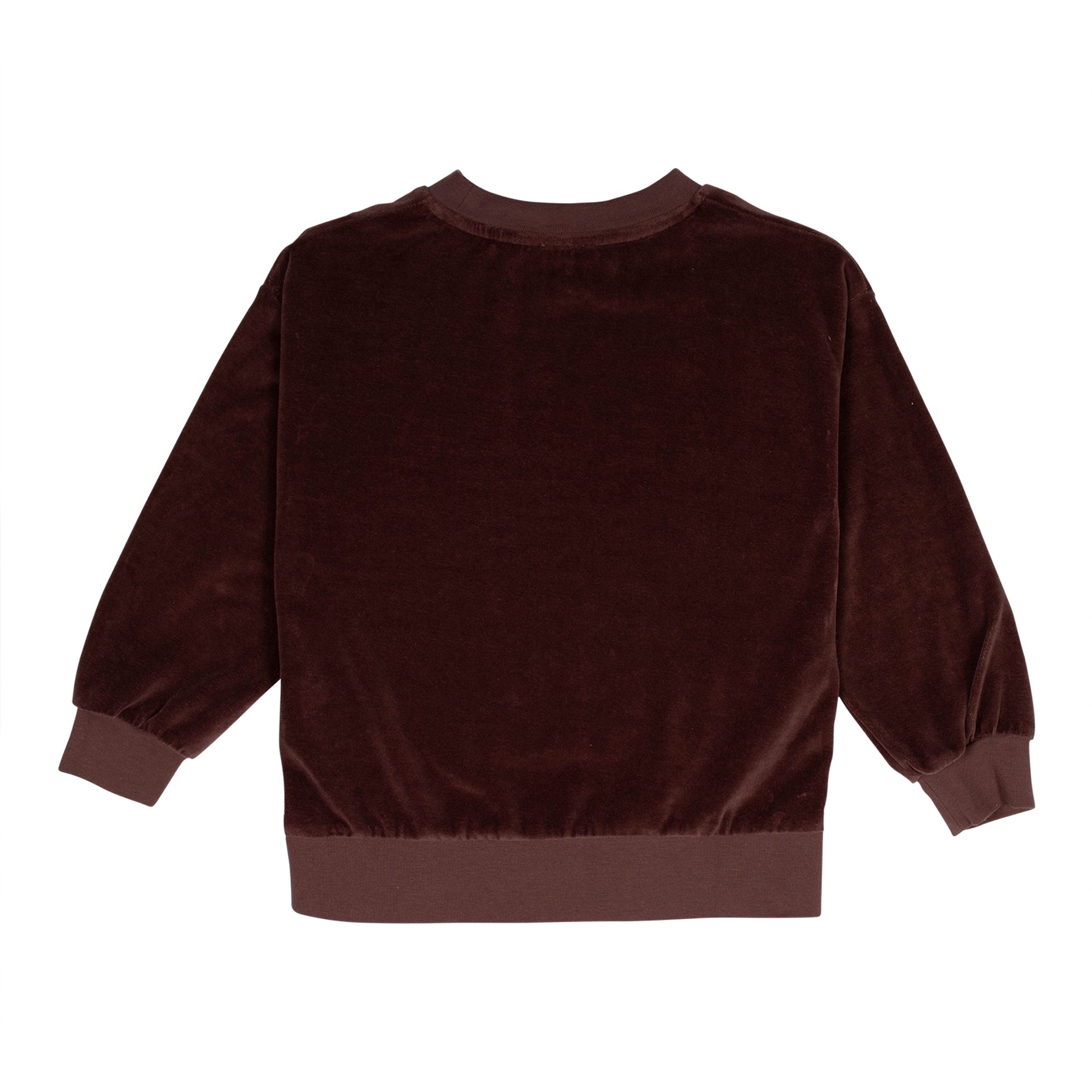 Boys & Girls Brown Velvet Sweatshirt