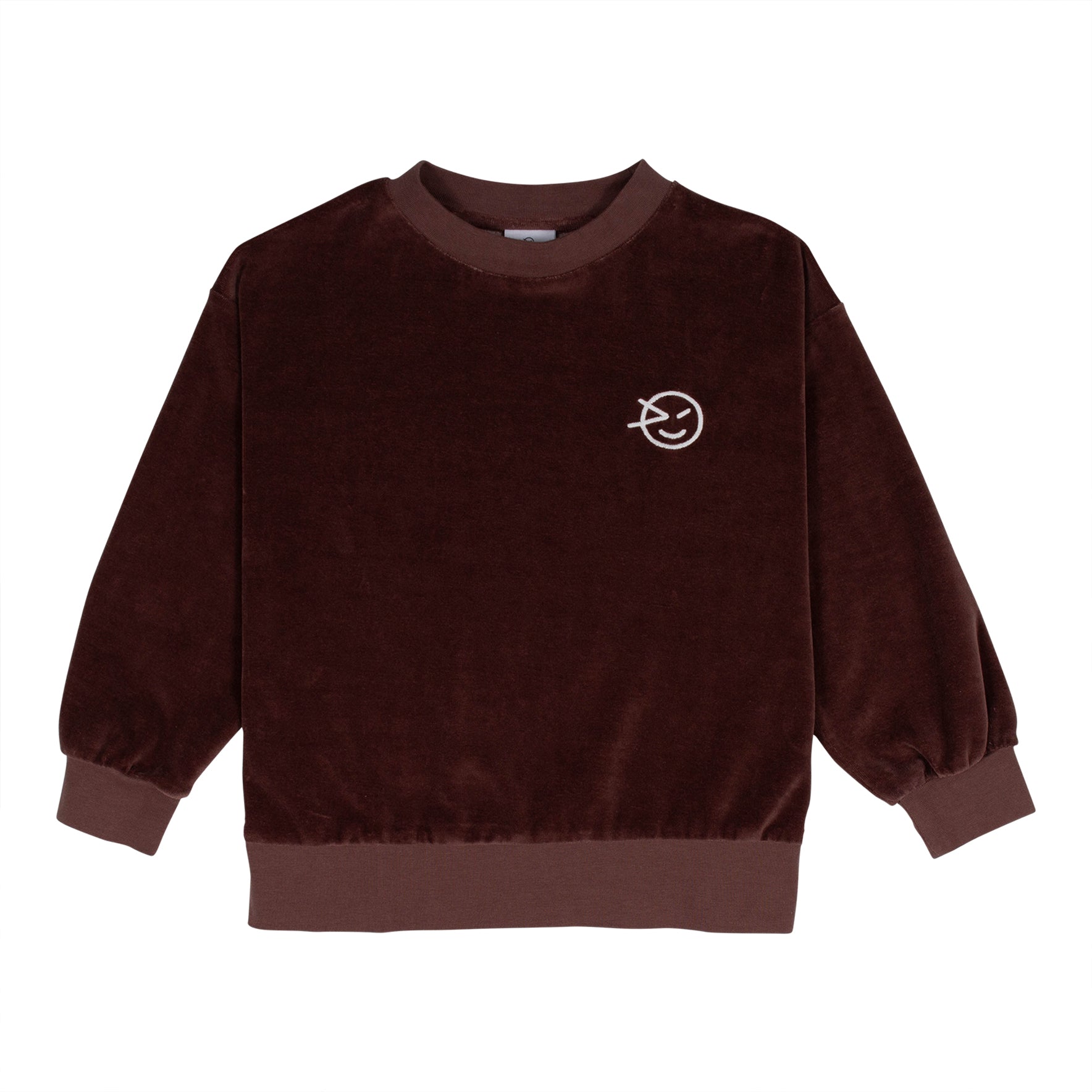 Boys & Girls Brown Velvet Sweatshirt