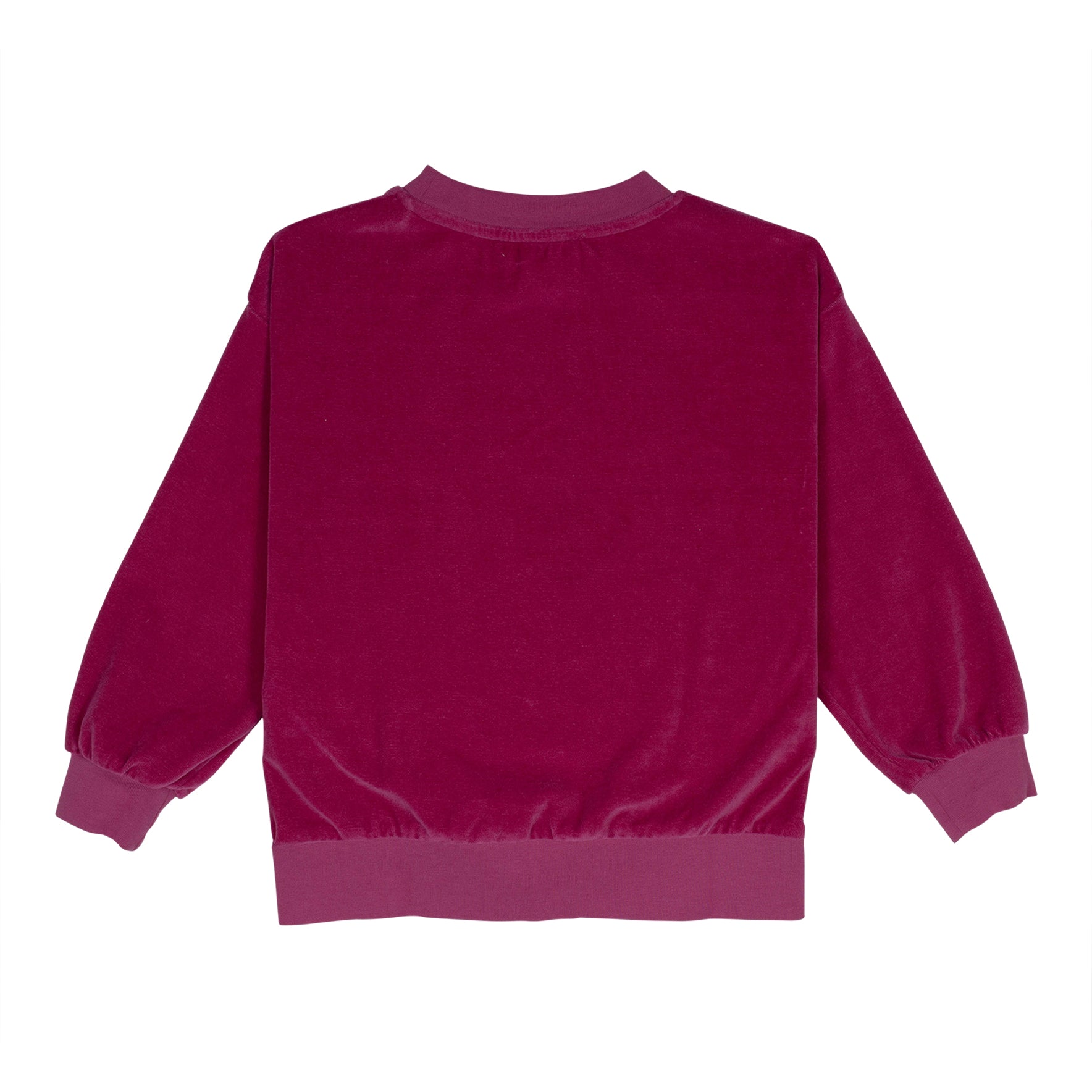 Boys & Girls Purple Velvet Sweatshirt