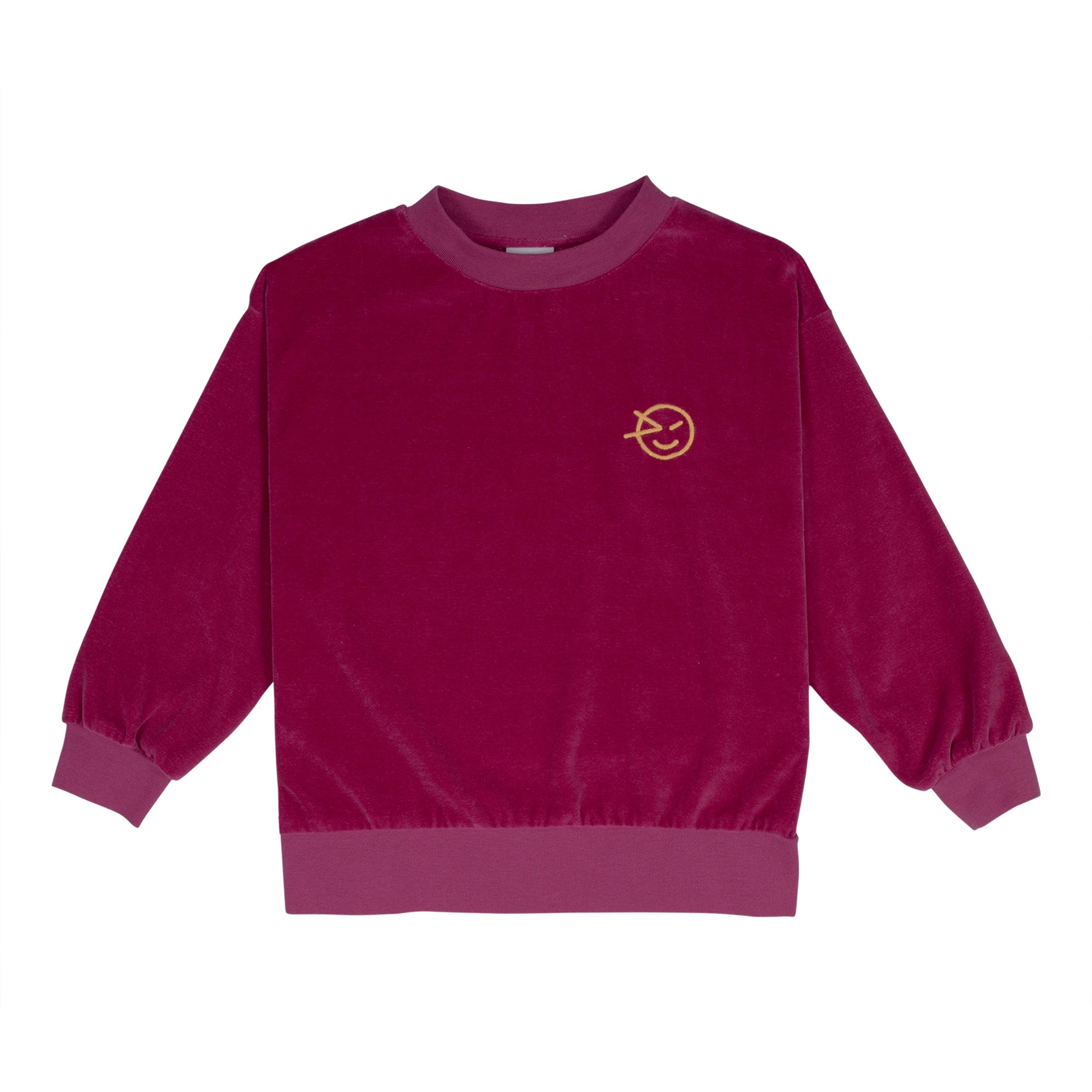 Boys & Girls Purple Velvet Sweatshirt