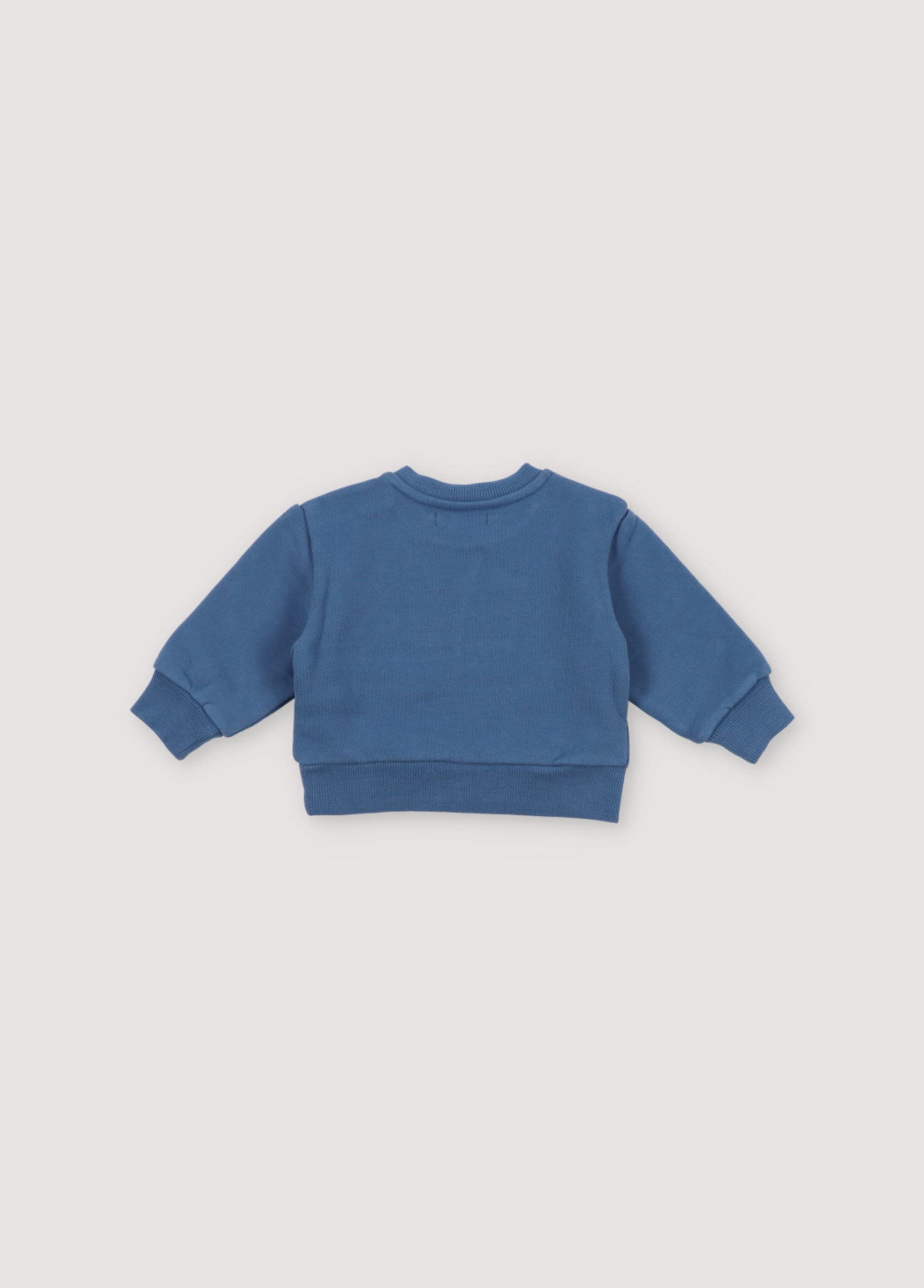 Baby Boys & Girls Blue Sweatshirt