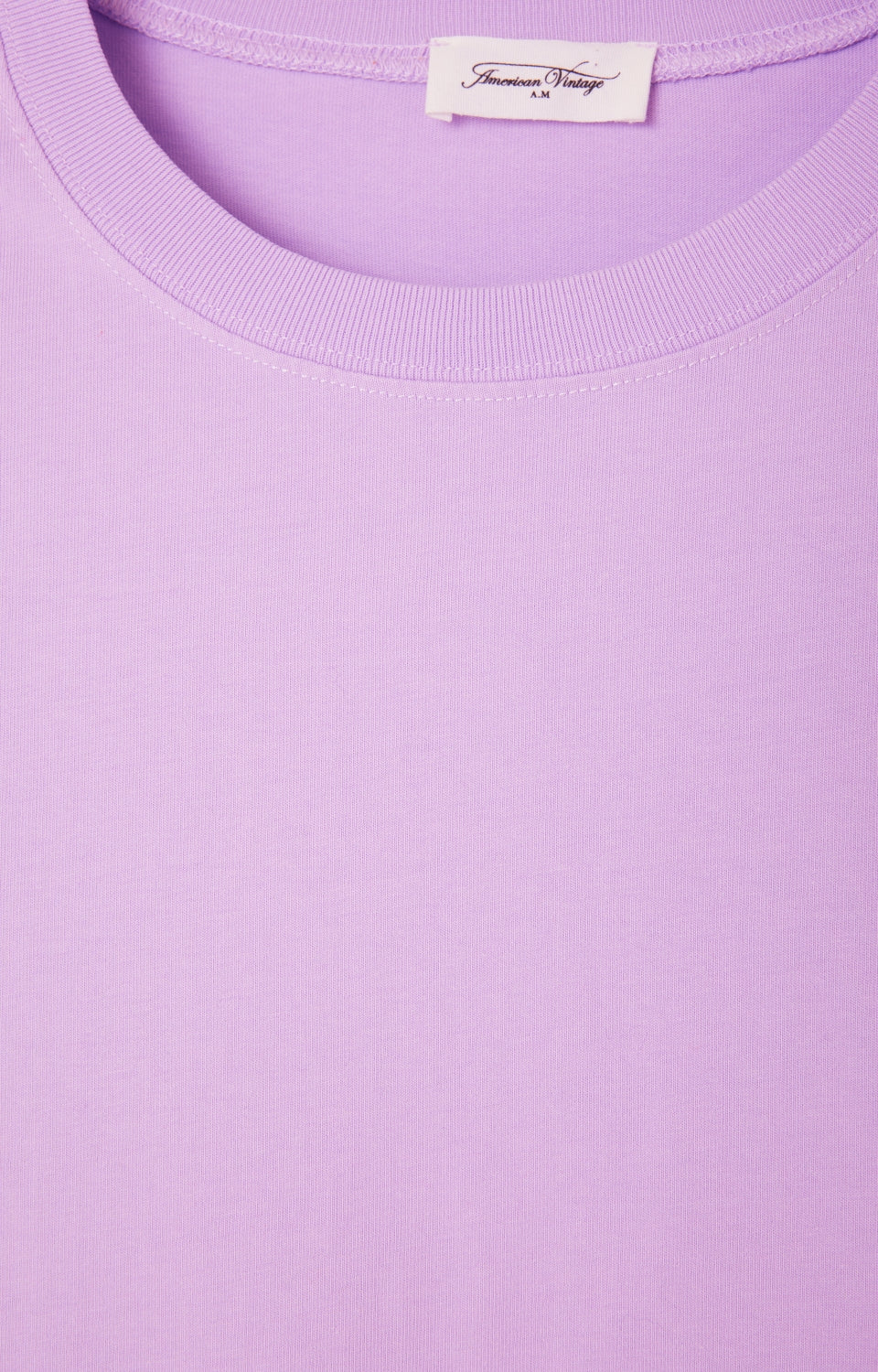 Women Light Purple Cotton T-Shirt