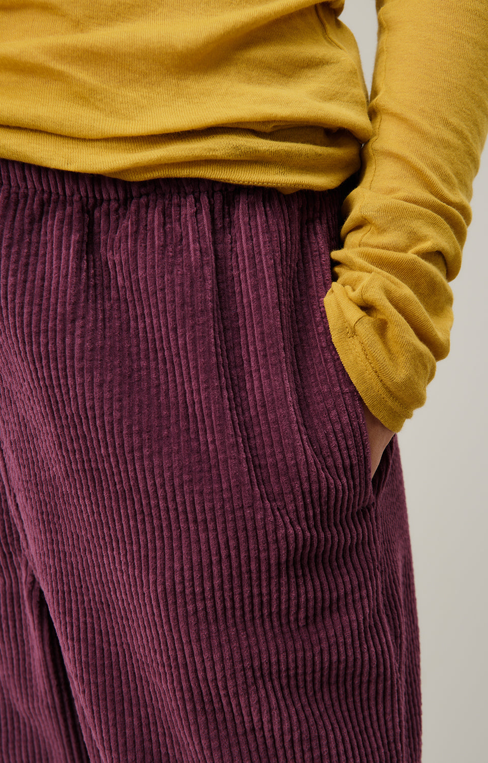 Women Purple Corduroy Trousers