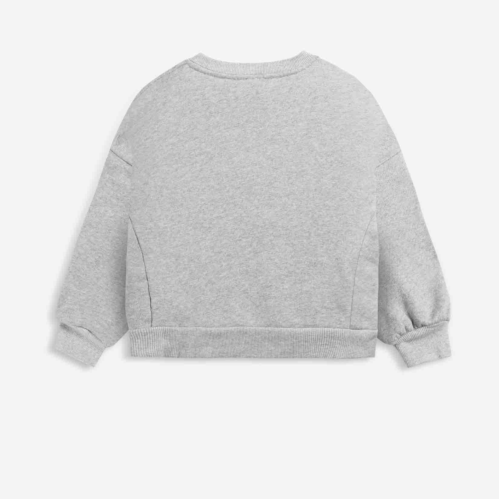 Boys & Girls Grey Dog Cotton Sweatshirt