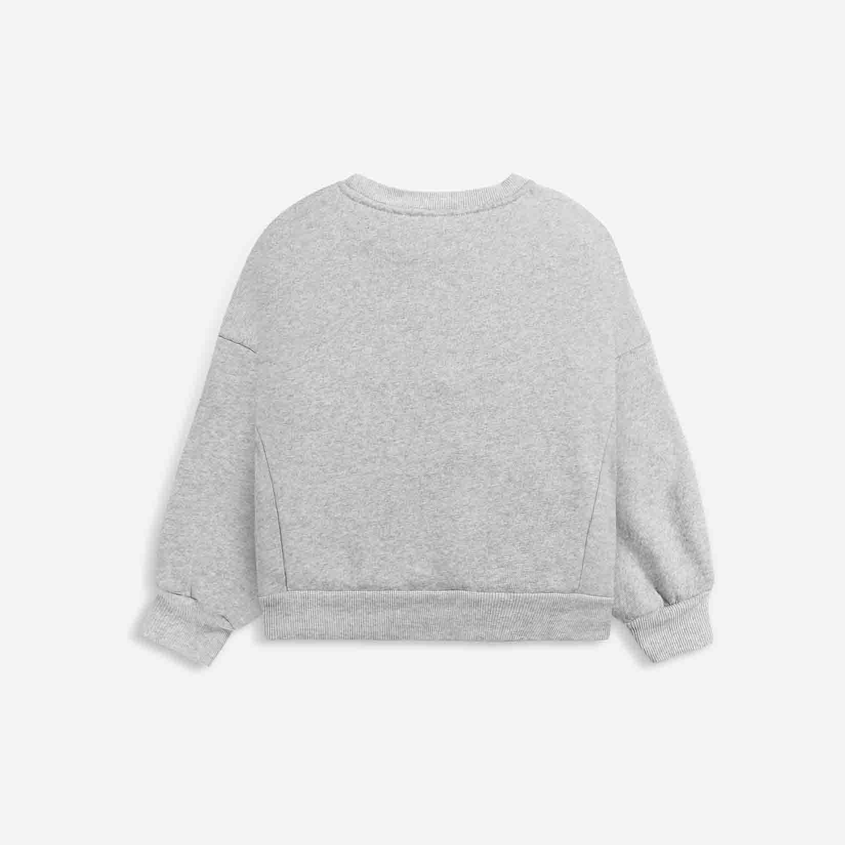 Boys & Girls Grey Strawberry Cotton Sweatshirt