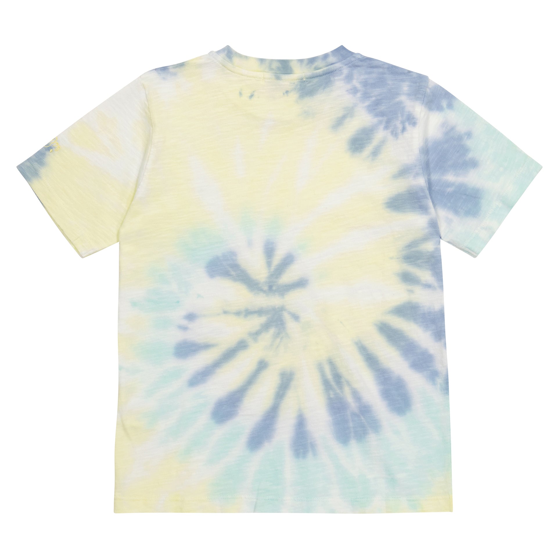 Boys Multicolor Painted Cotton T-Shirt