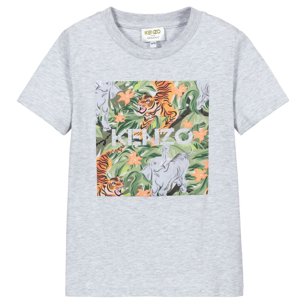 Boys Grey Cotton T-Shirt