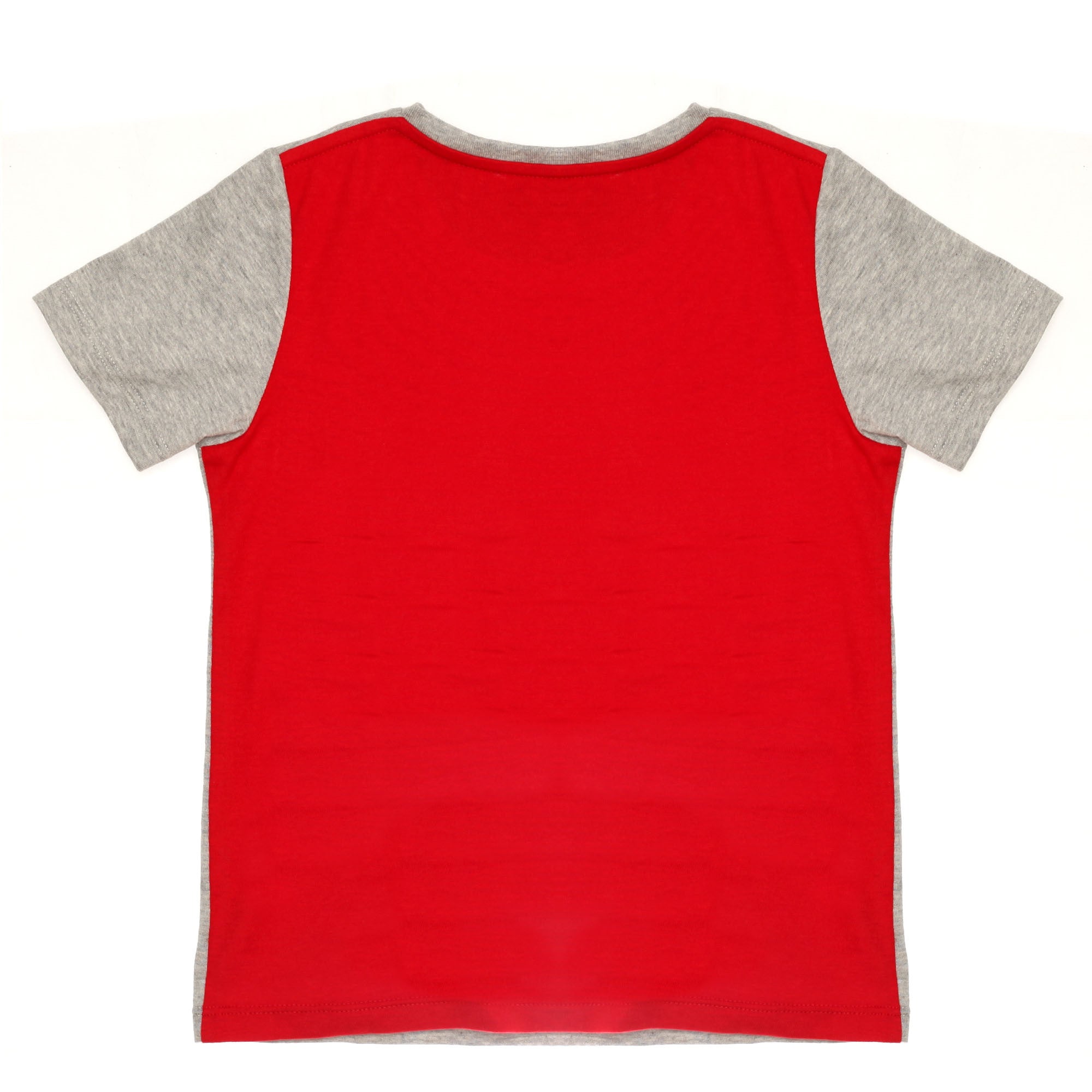 Boys Grey Dog Printed Trims Cotton T-Shirt - CÉMAROSE | Children's Fashion Store - 2