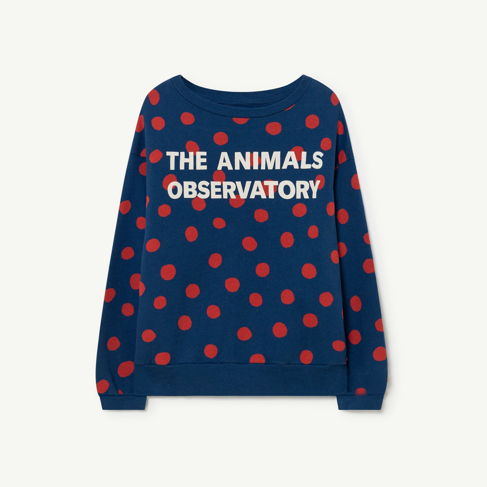 Boys & Girls Blue Cotton Sweatshirt