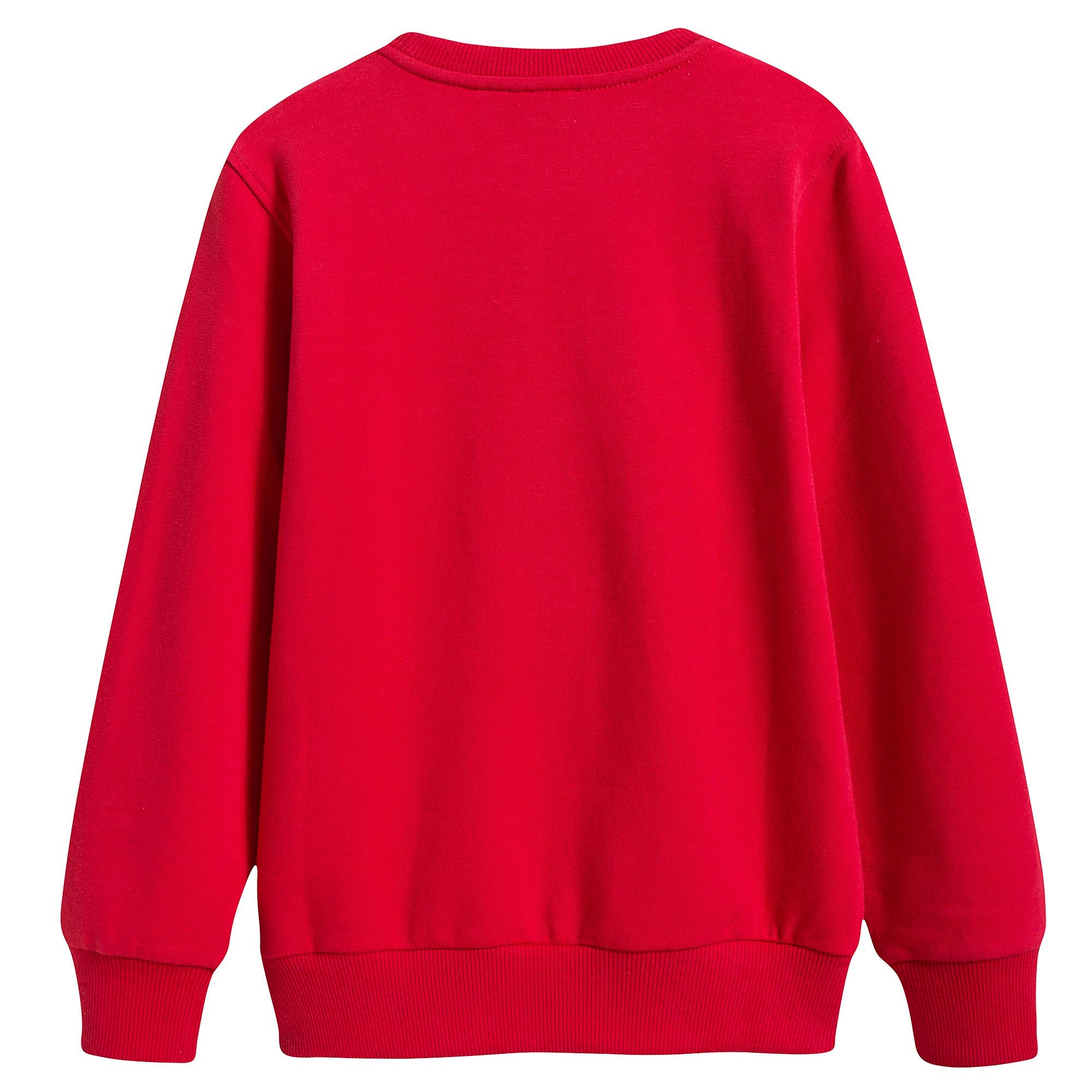 Boys & Girls Red Teddy Printed Sweatshirt