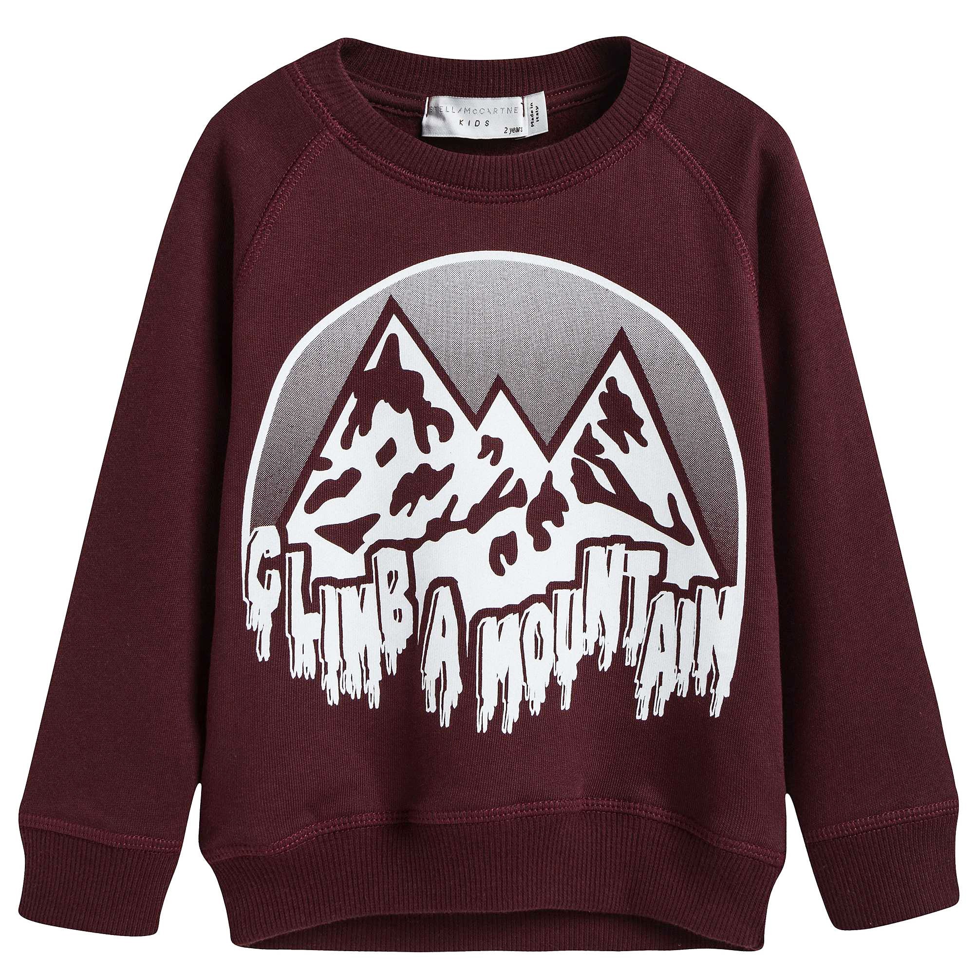 Boys Wine Red Mountain Printed Cotton Sweater