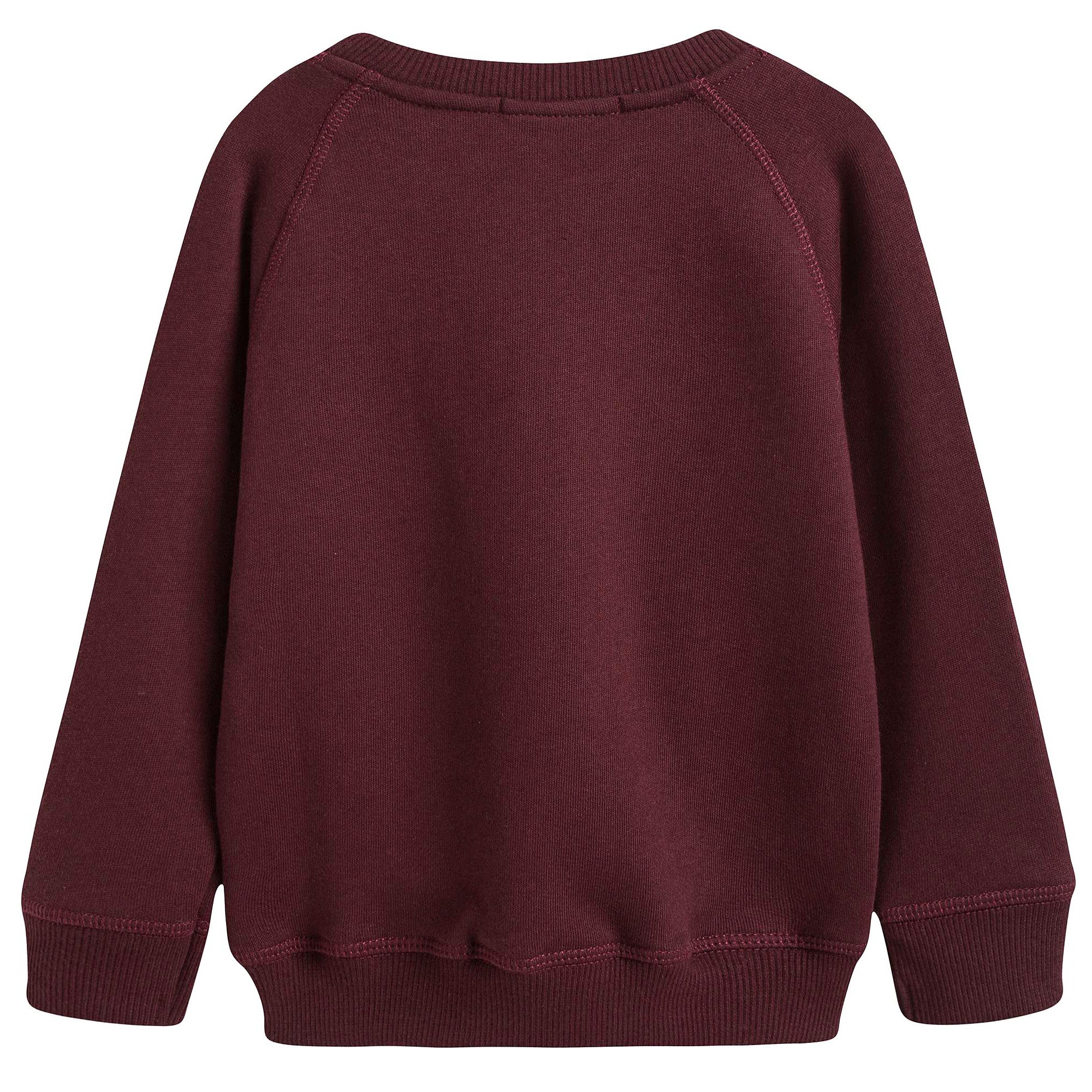 Boys Wine Red Mountain Printed Cotton Sweater