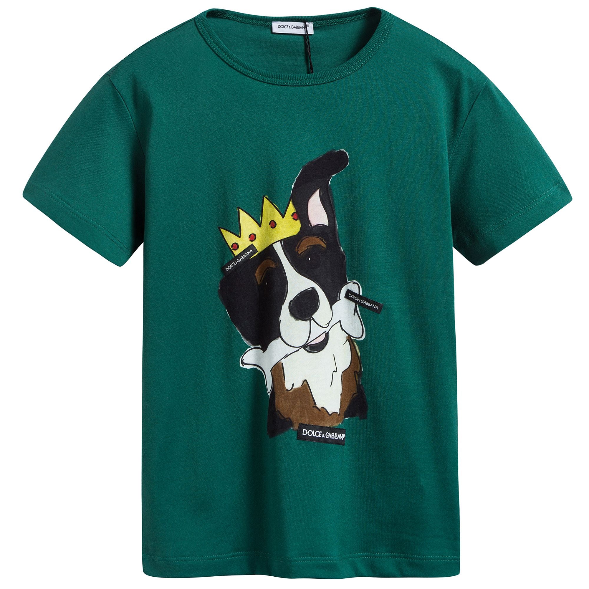 Boys Green Dog Print T-Shirt