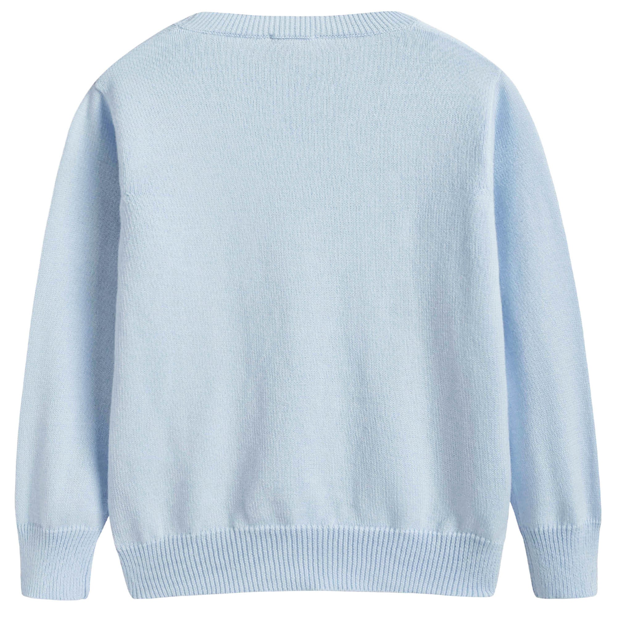 Boys Sky Blue Cotton Sweat