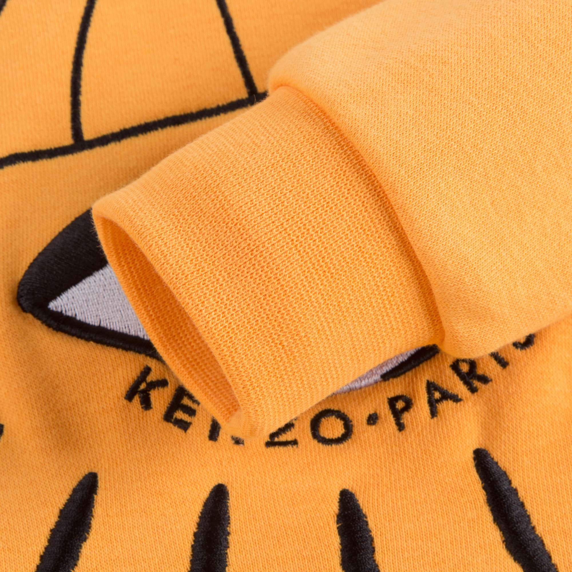 Boys Vibrant Yellow Eyes Cotton Sweatshirt