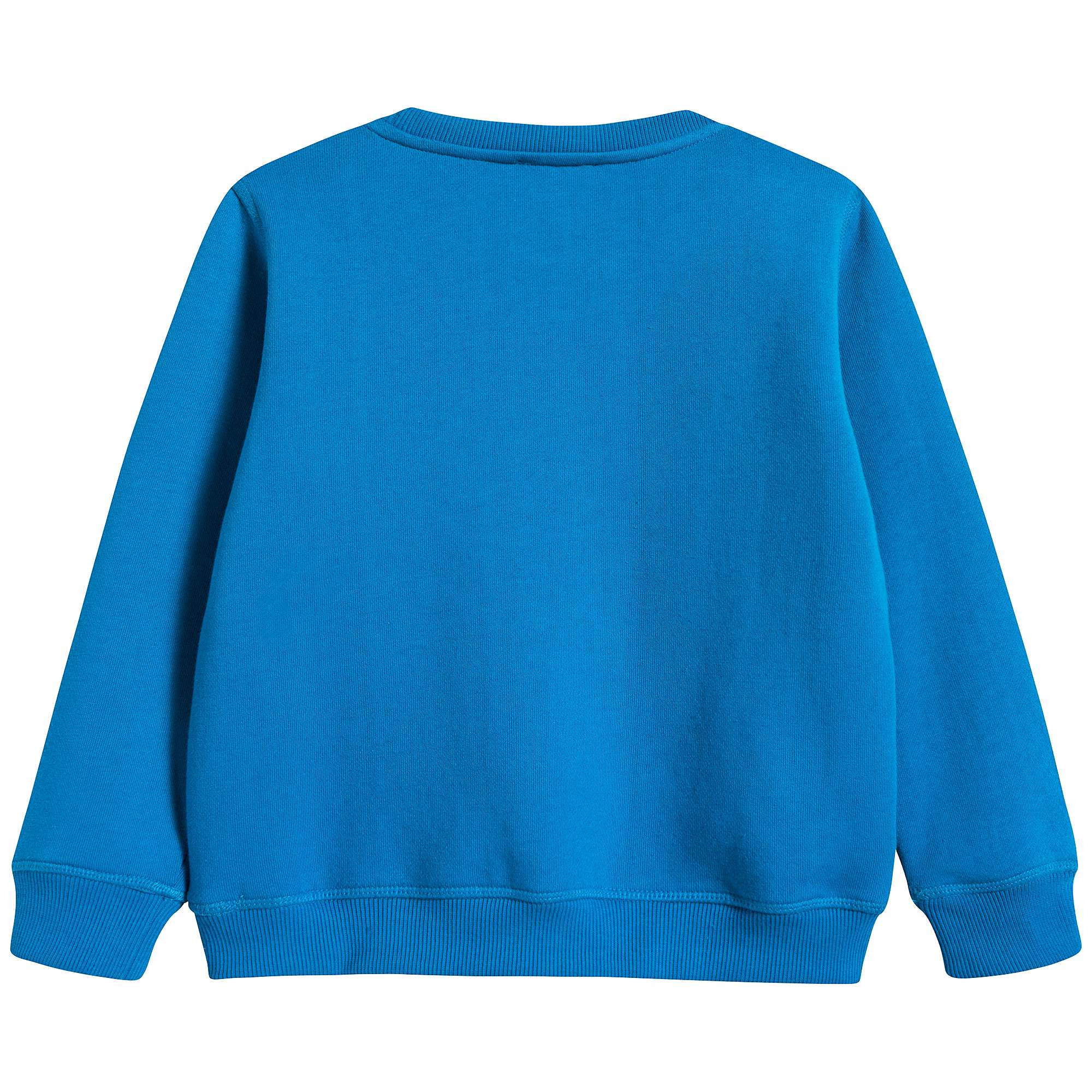 Boys Vivid Blue Tiger Sweatshirt