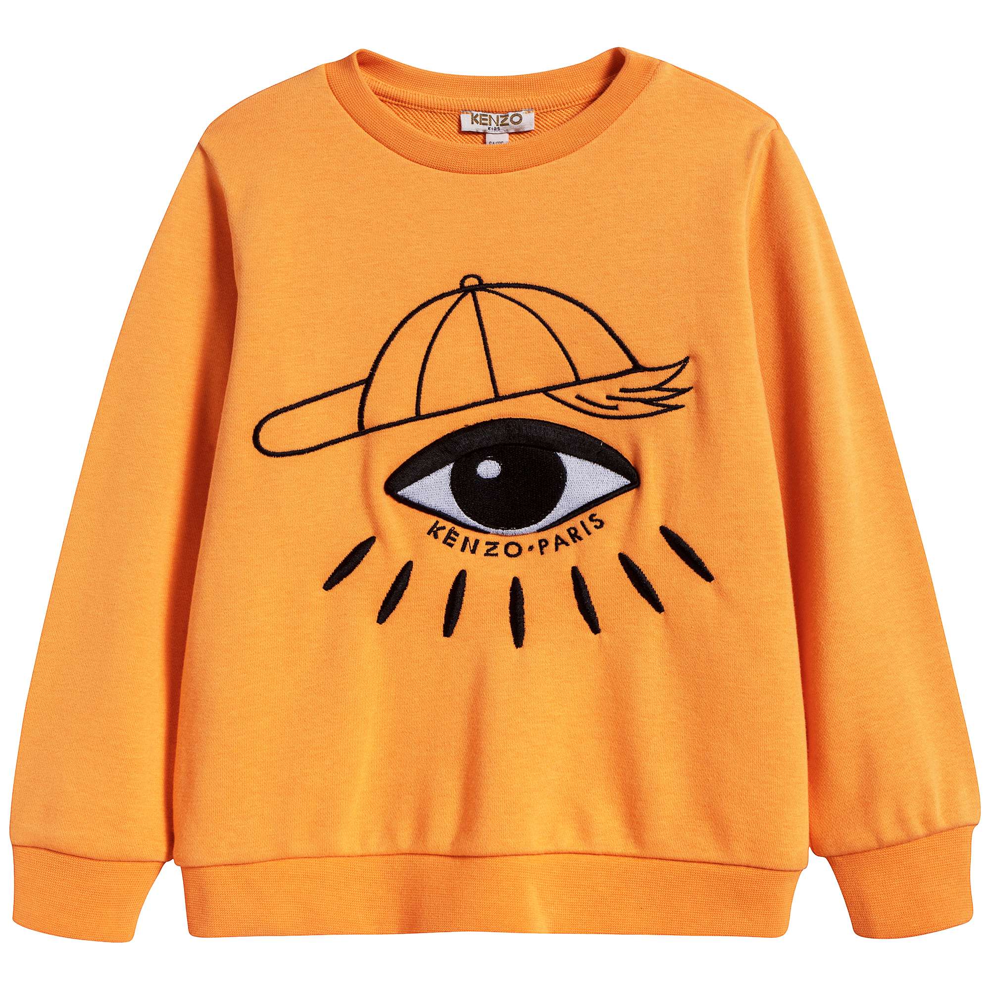 Boys Vibrant Yellow Eyes Cotton Sweatshirt