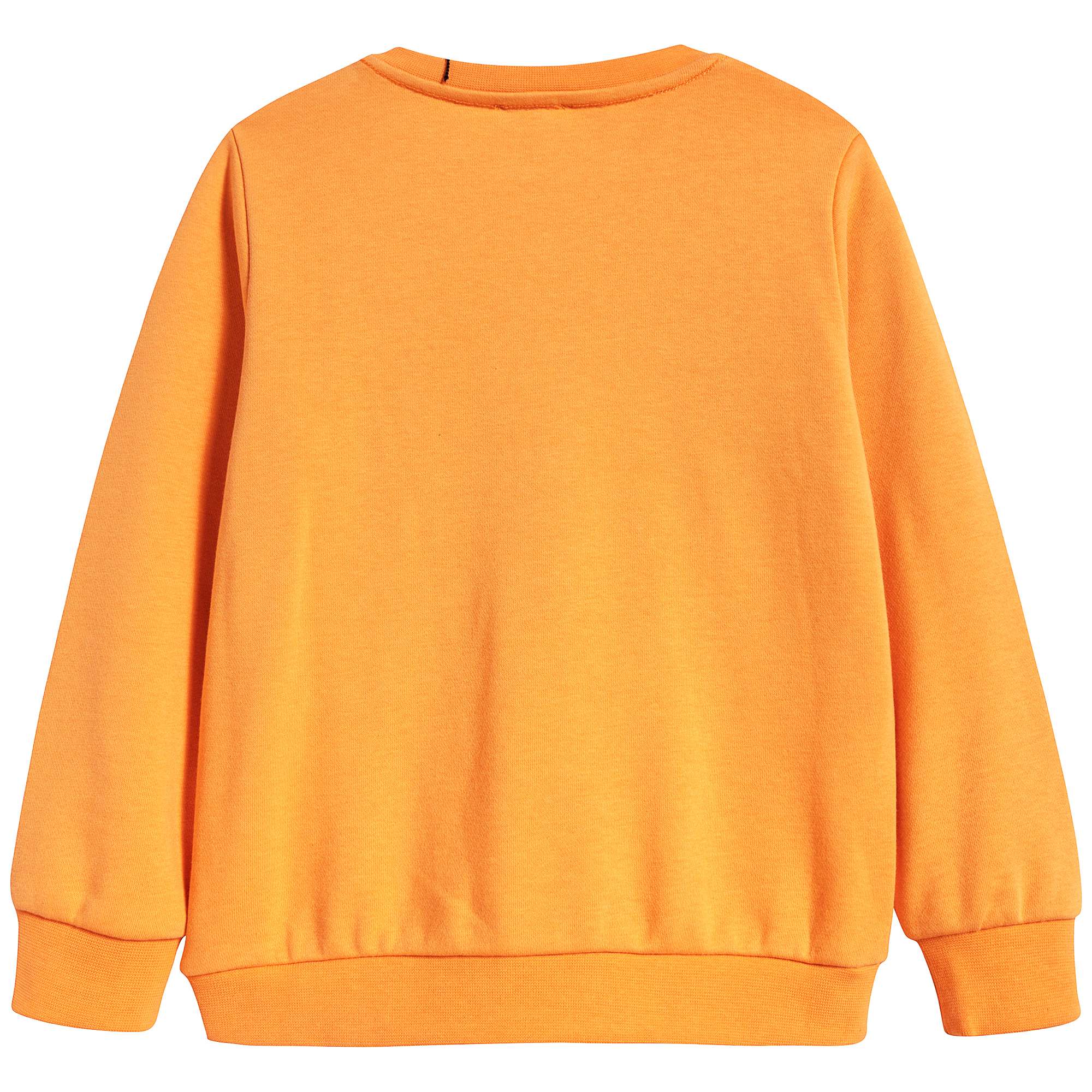 Boys Vibrant Yellow Eyes Cotton Sweatshirt