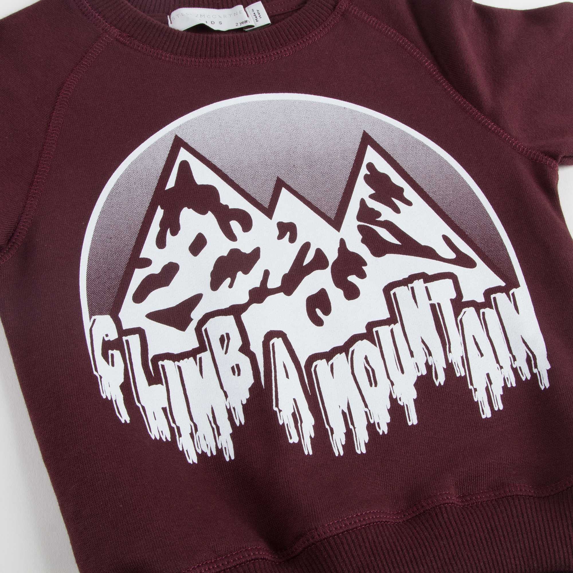 Boys Wine Red Mountain Printed Cotton Sweater