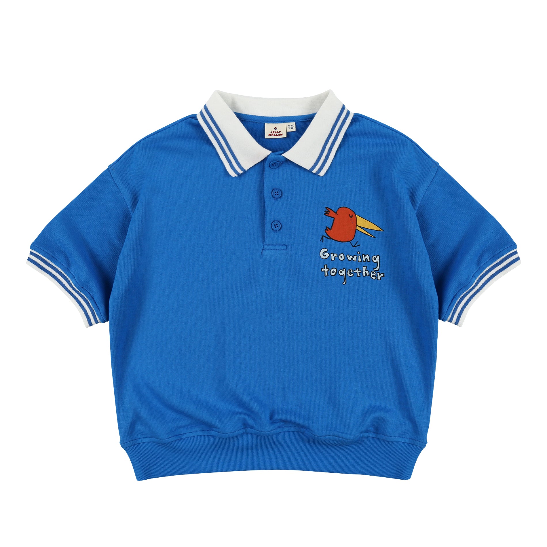 Boys Blue Cotton Polo Shirt