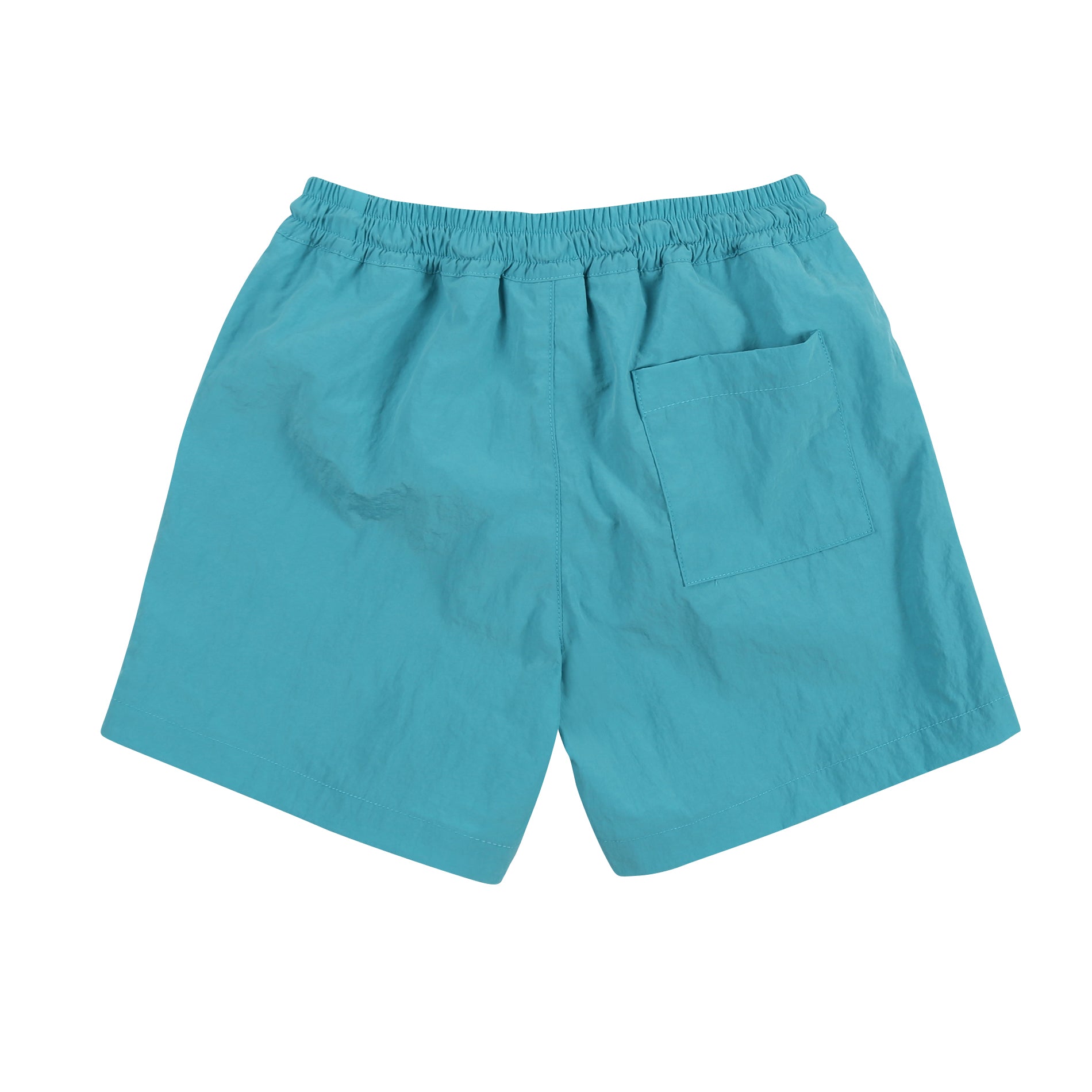 Boys & Girls Blue Lion Swim Shorts