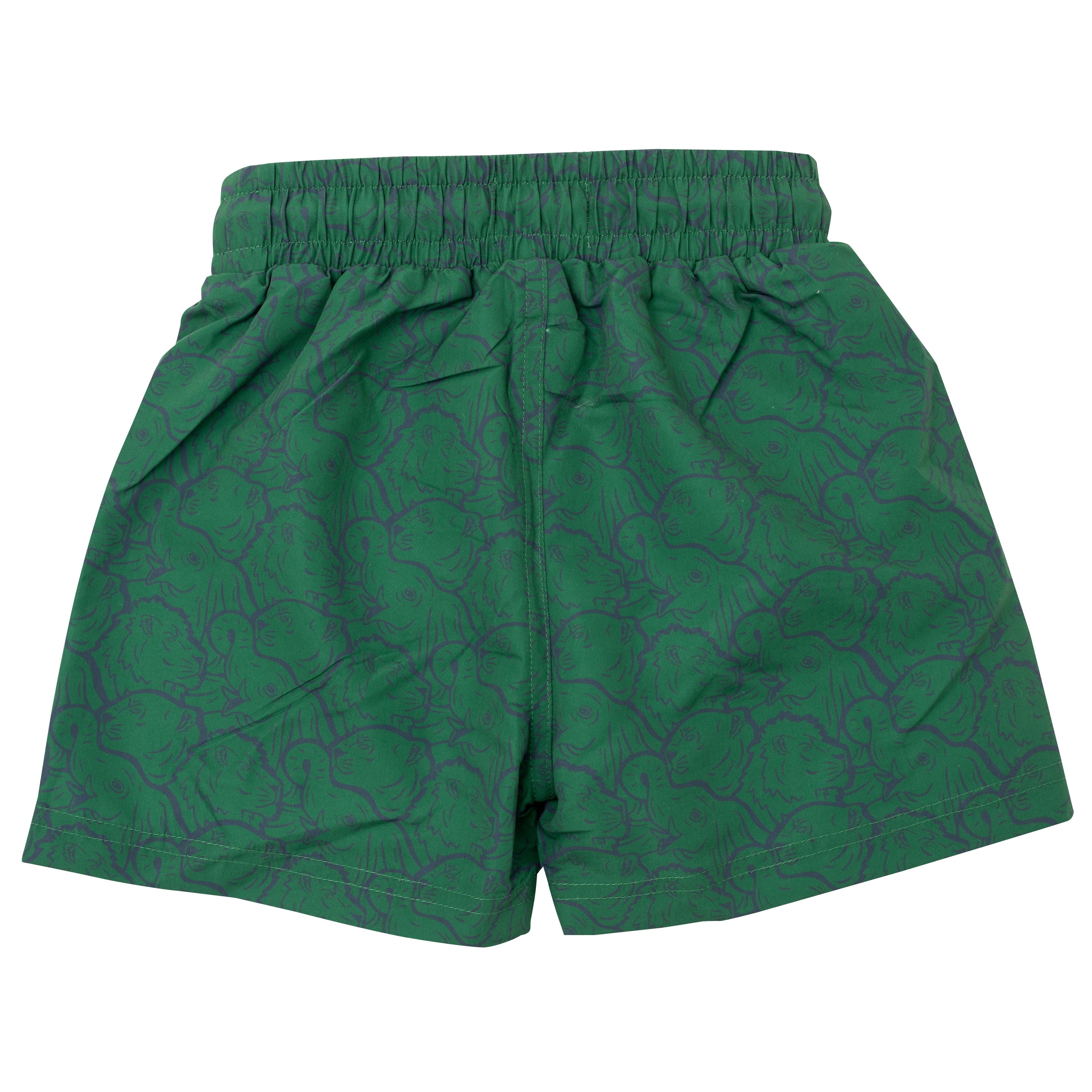 Boys & Girls Green Cotton Shorts