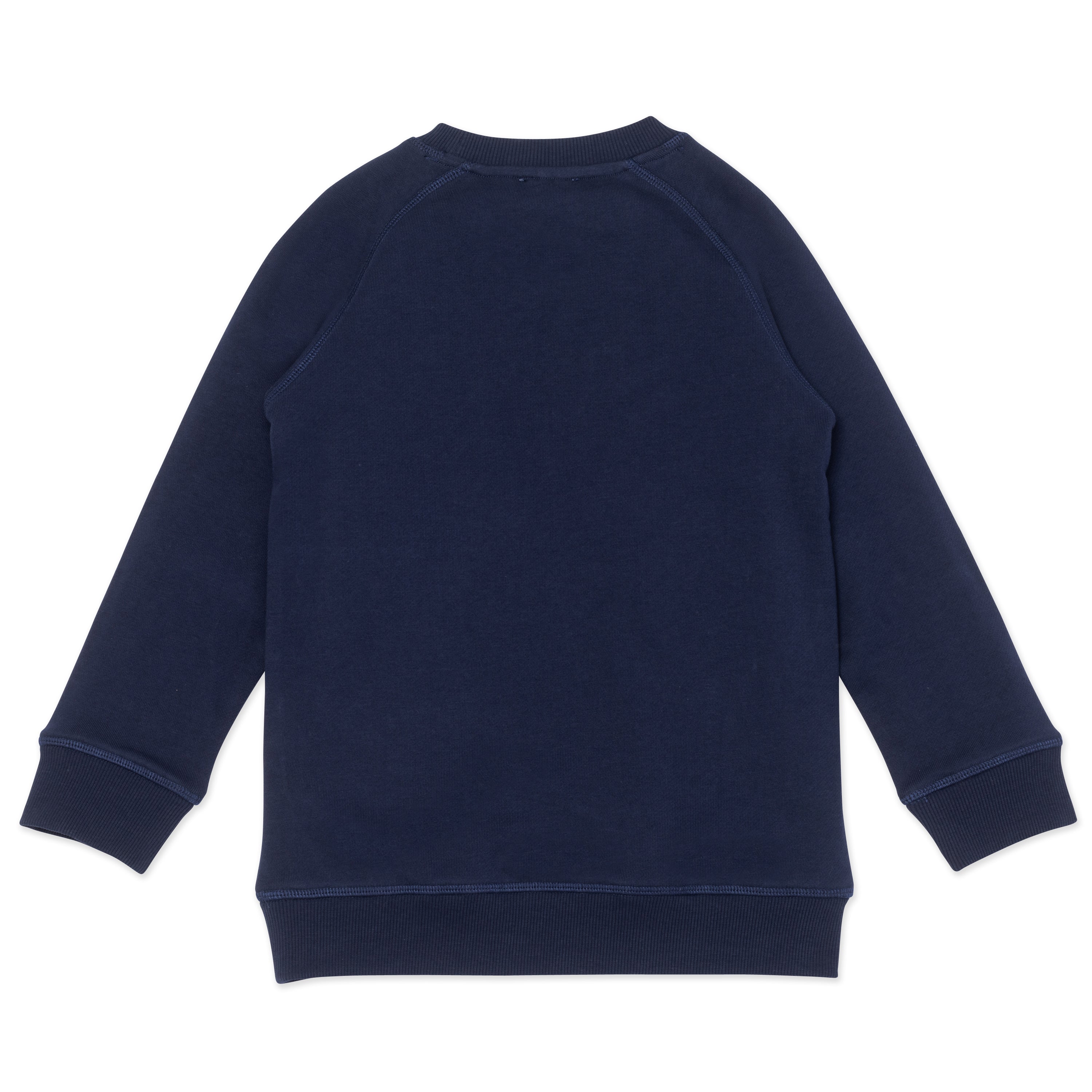 Boys Blue Tiger Cotton Sweatshirt