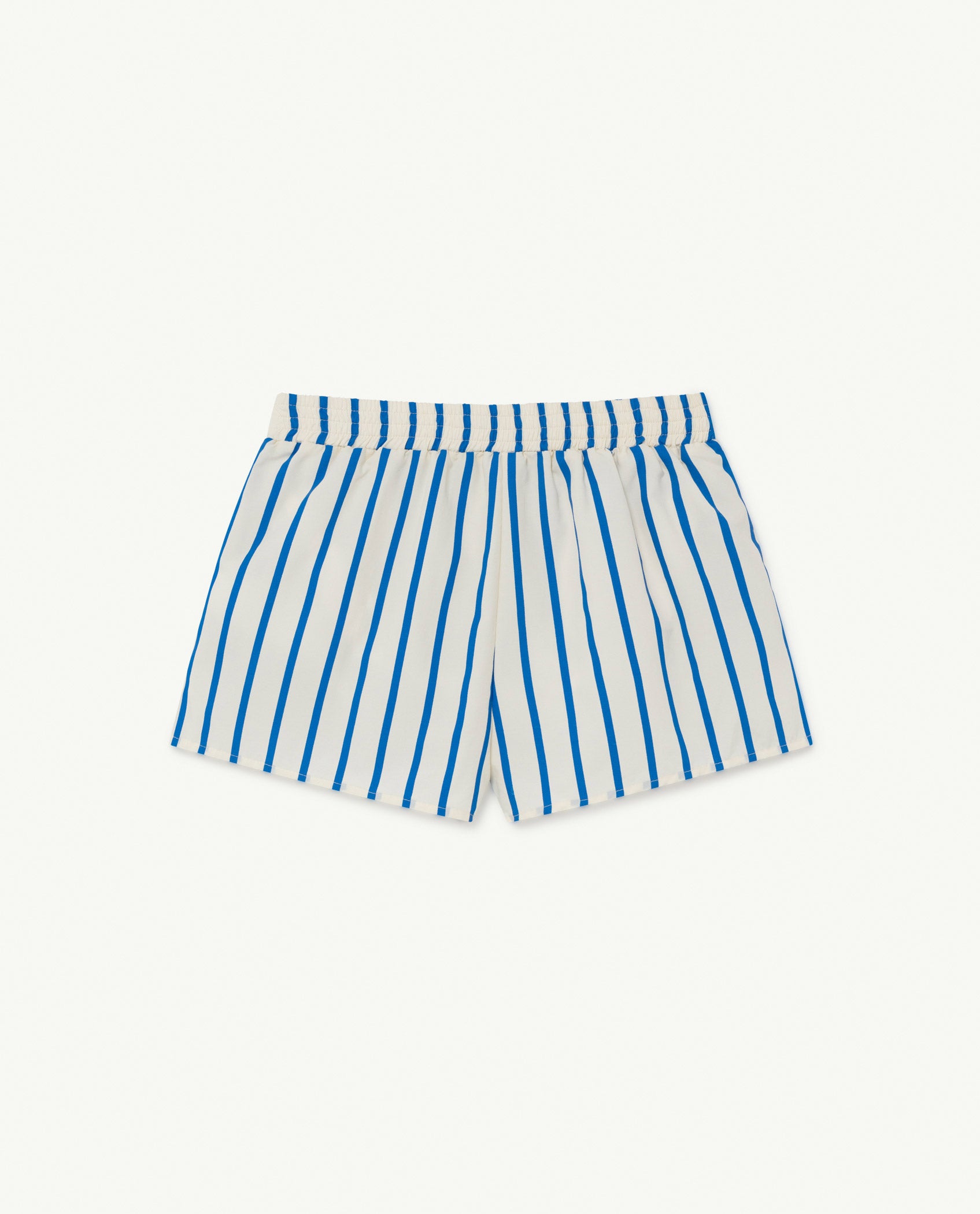 Boys Blue Stripe Swim Shorts