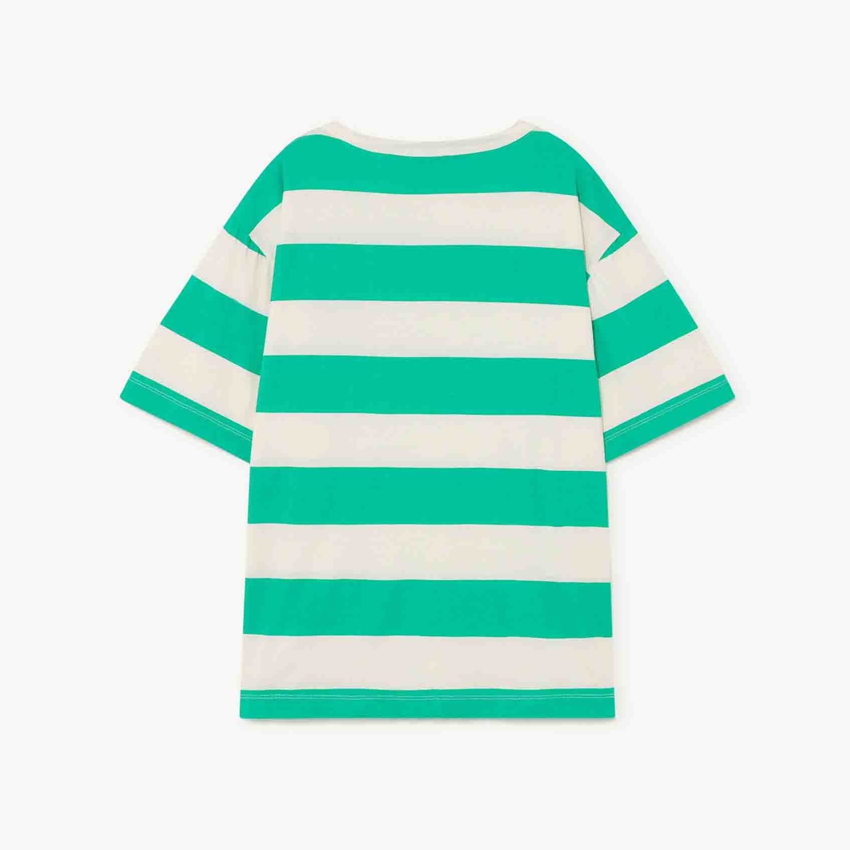 Boys & Girls Green Stripe Cotton T-shirt