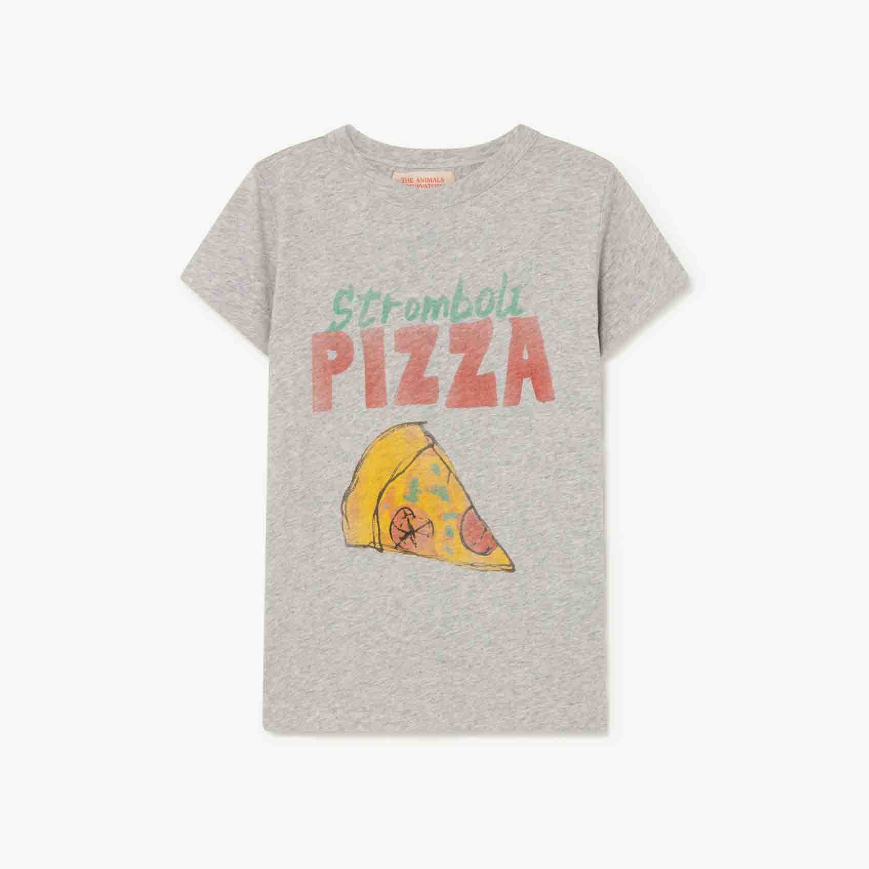 Boys & Girls Grey Pizza Cotton T-Shirt