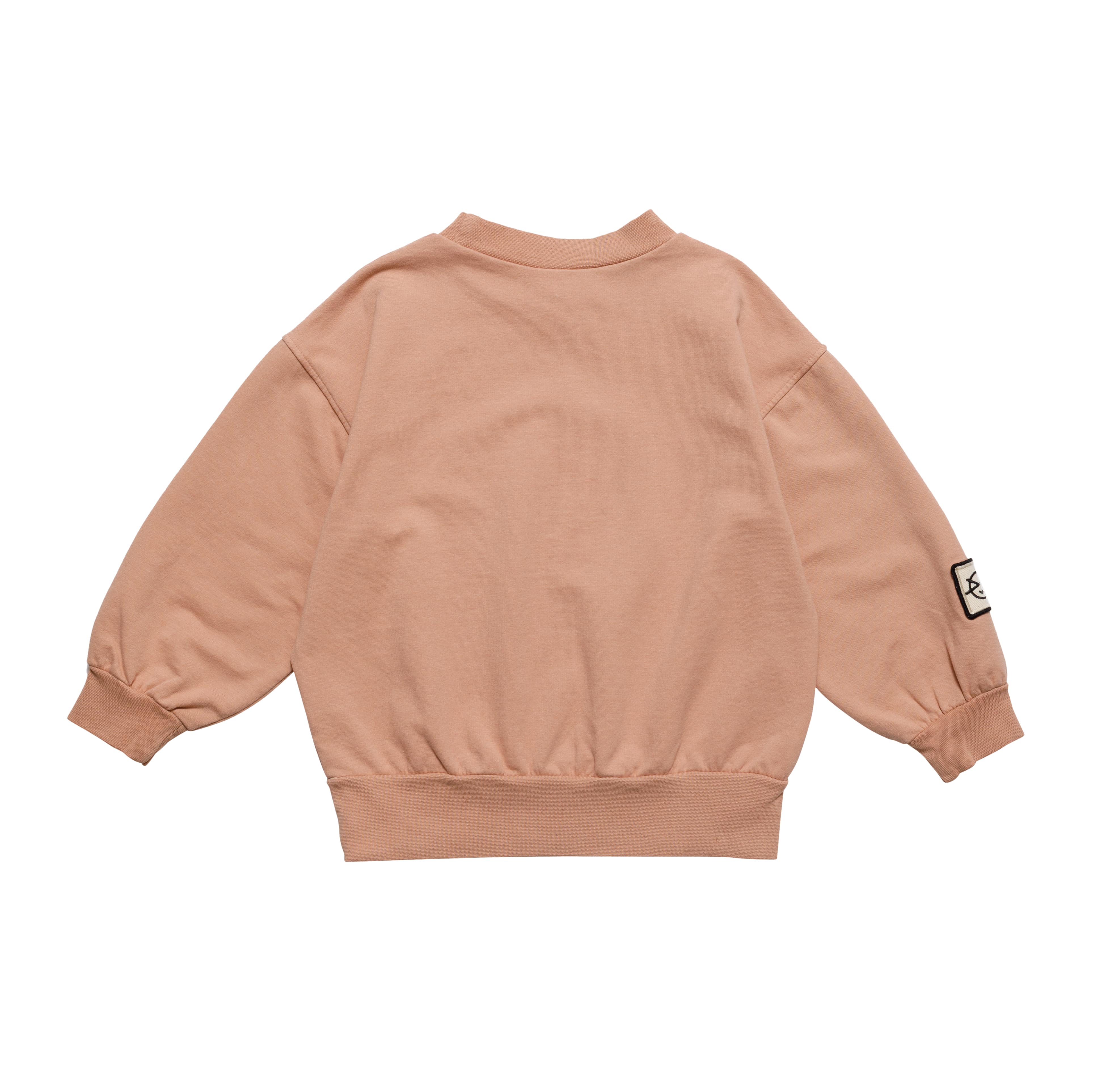 Boys & Girls Pink Cotton Sweatshirt