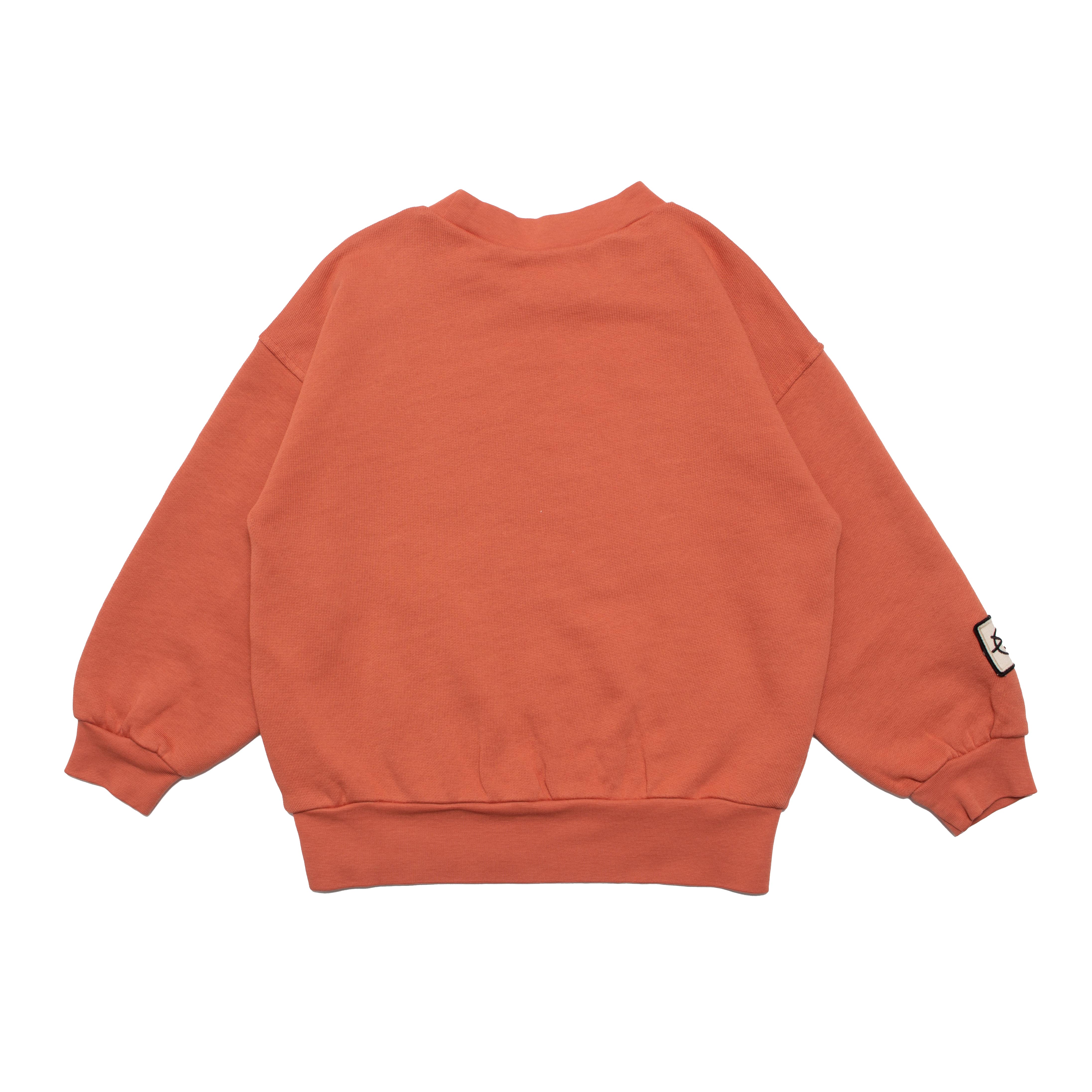 Boys & Girls Pink Cotton Sweatshirt