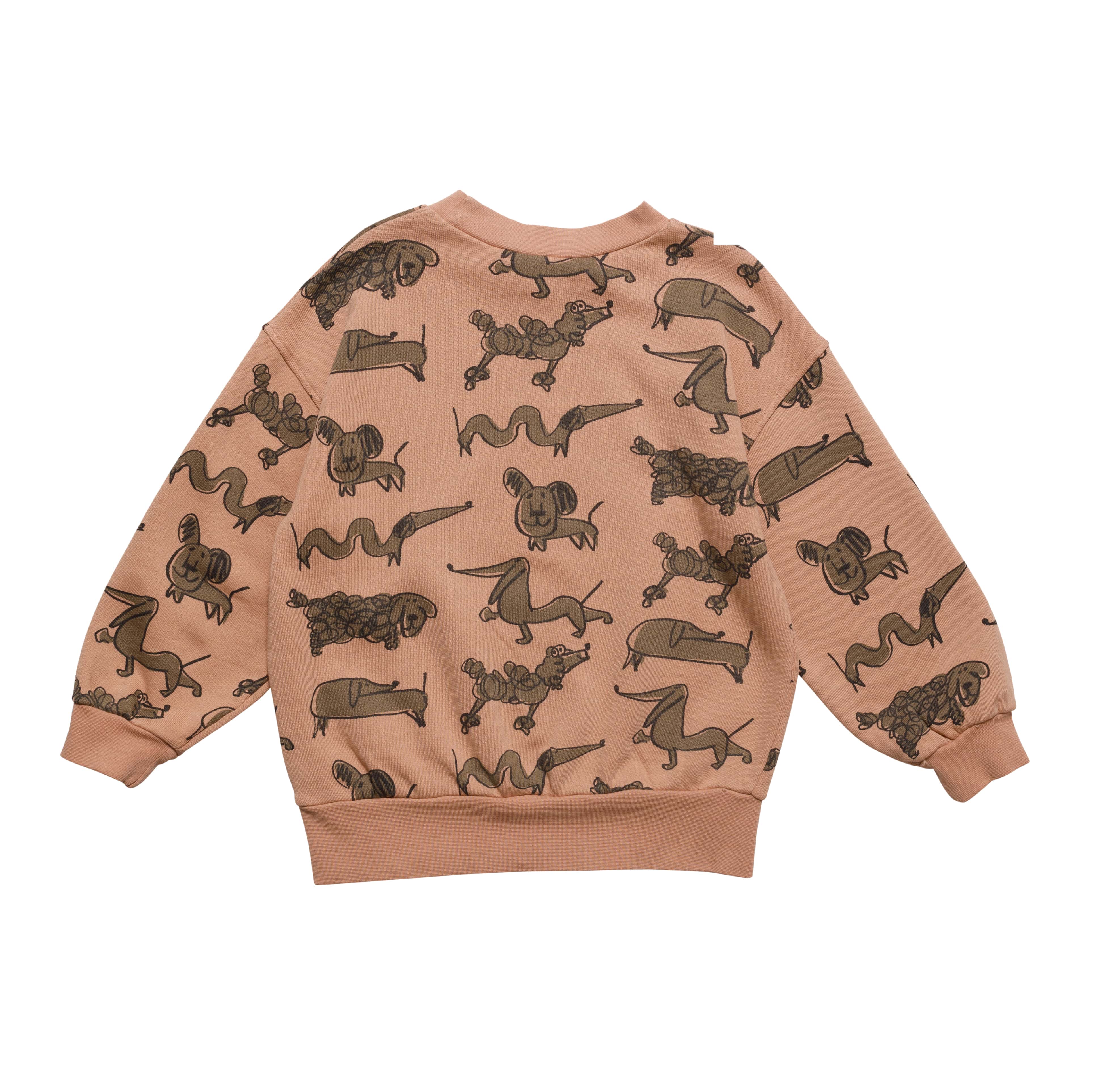 Boys & Girls Pink Printed Cotton Sweatshirt