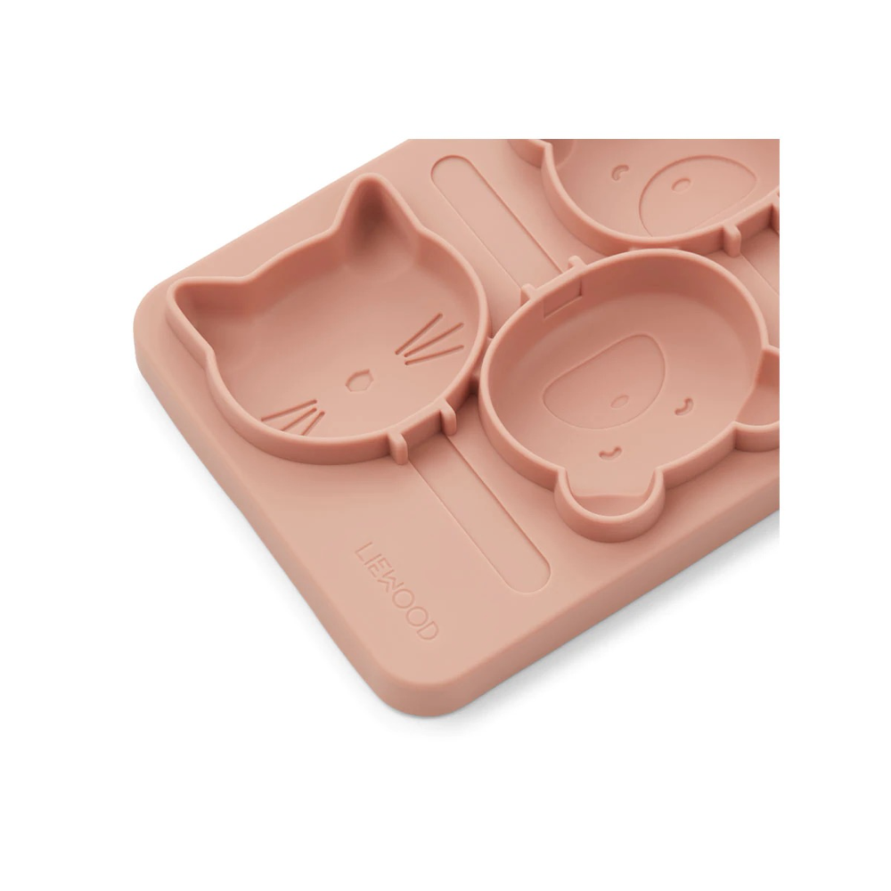 Boys & Girls Bear Icecream Mold