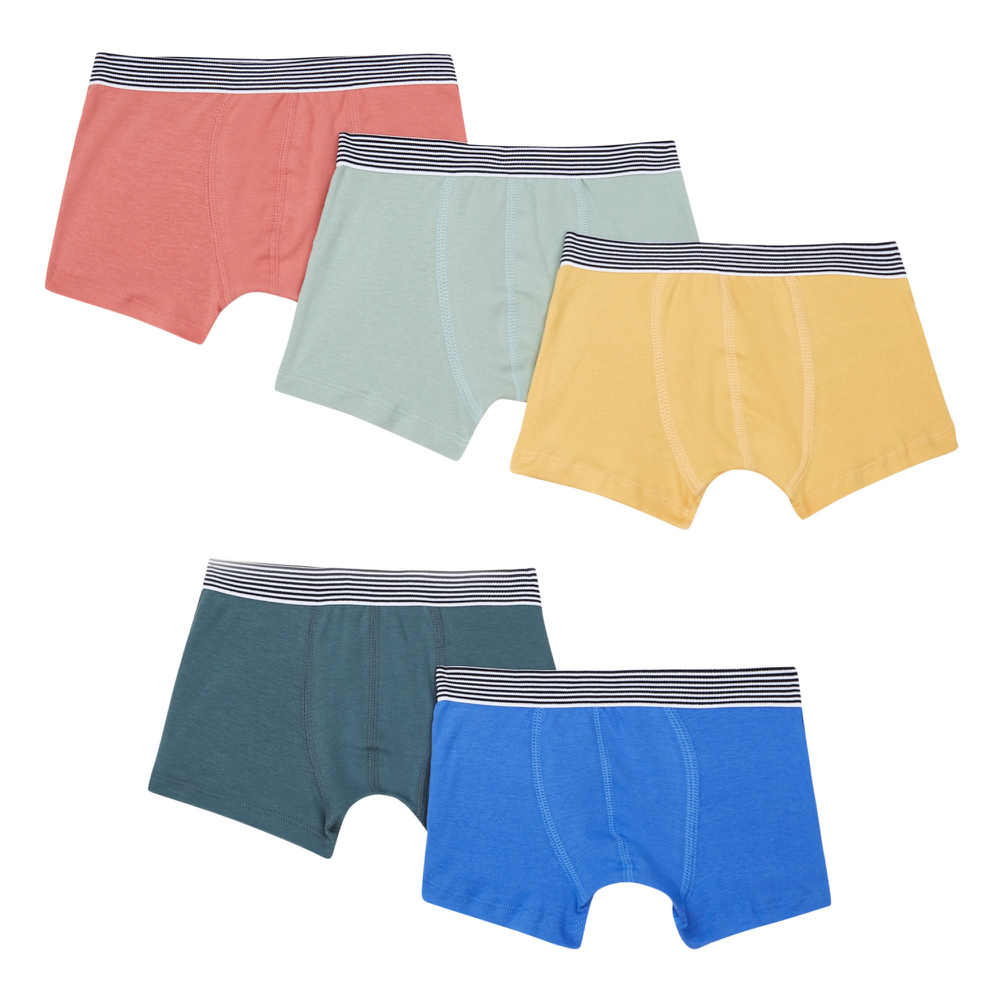 Boys Multicolor Cotton Underwear Set (5 Pack)