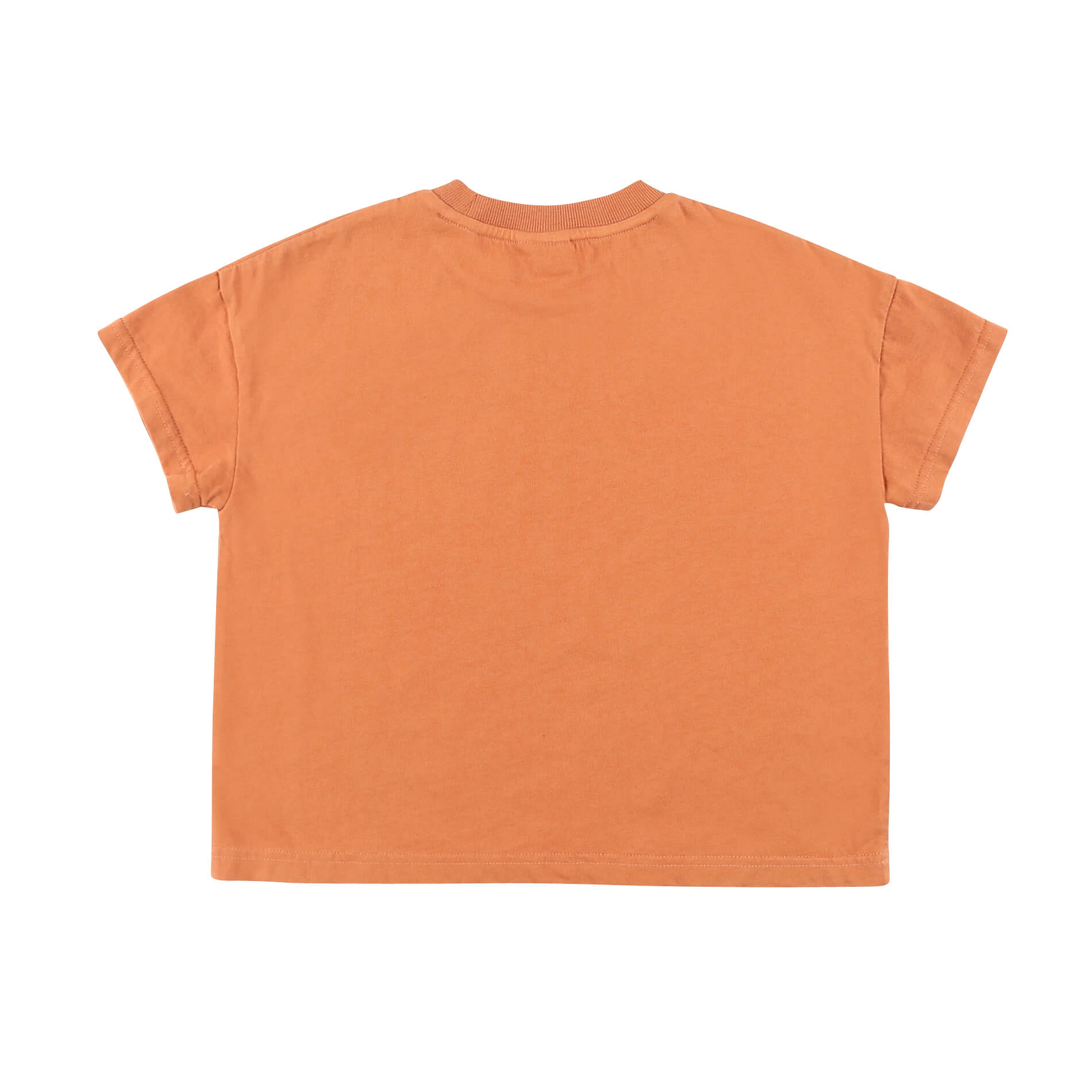 Boys & Girls Brown Cotton T-Shirt